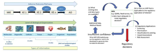 IATA based on the AOP concept