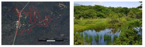 Location and foreground of 1100 Altitude wetland