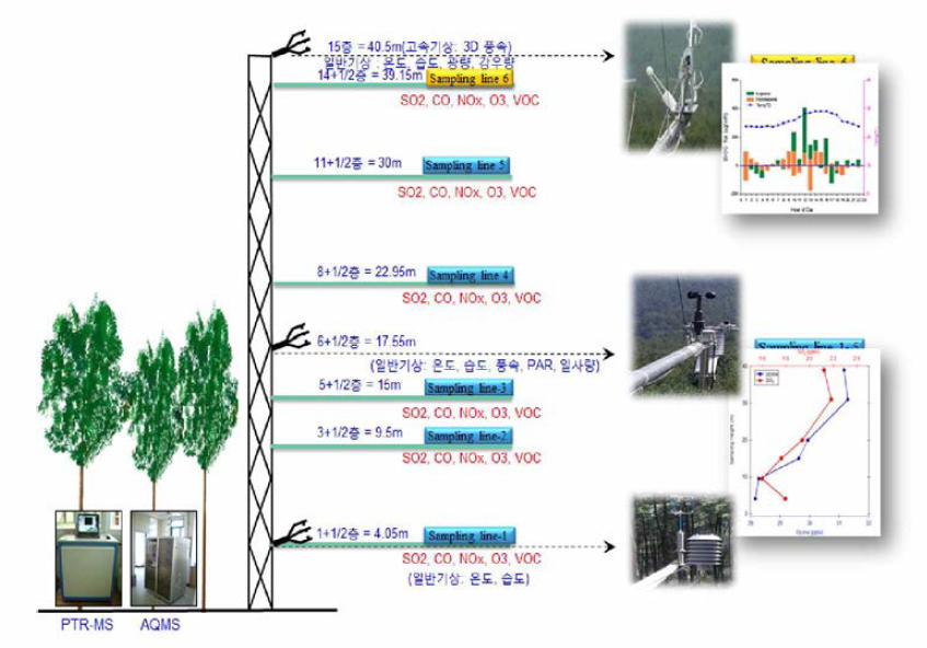 Schematic diagram of Taehwa flux tower