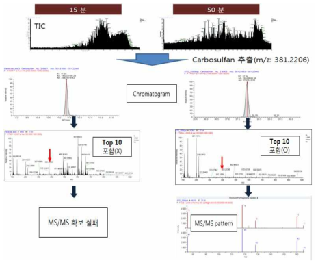 Results of detection and fragmentation pattern with time variation