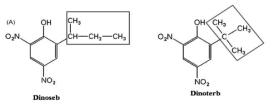 Molecular structure of the herbicides (Dinoseb and Dinoterb)