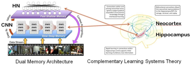 Dual memory architecture와 complementary learning system 이론