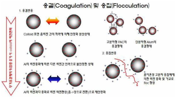 응결제 및 응집제의 반응 과정(출처: SNF Korea, 2016)