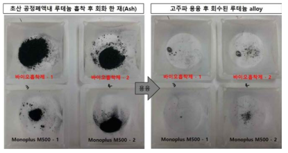 바이오흡착제와 이온교환수지 회화 실험 결과