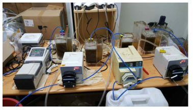 왕겨용출액을 통한 미생물 반응기 운전 현황