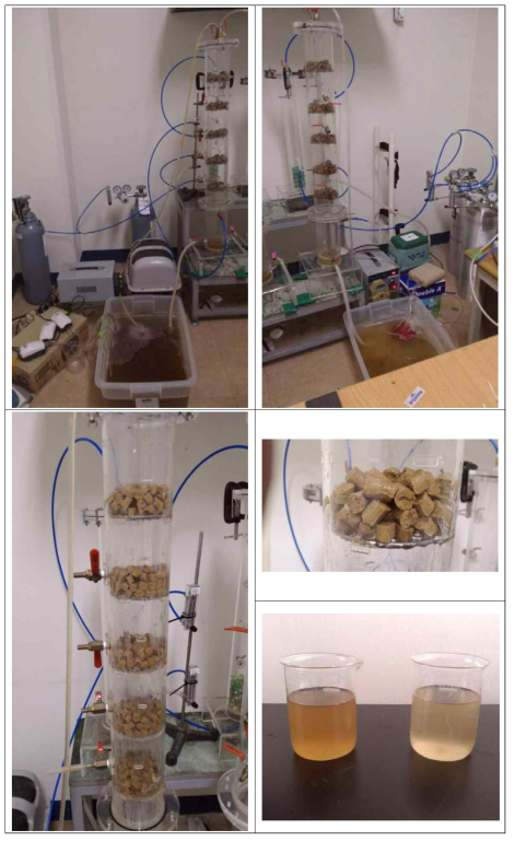 악취제거 반응컬럼 실제 사진 ((좌)NH3, H2S 유입컬럼 / (우)MM, DMS, DMDS 유입 컬럼 / (우하) 순환수)