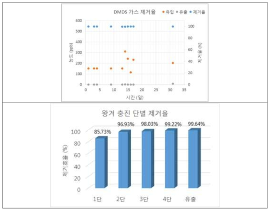 악취가스 연속 제거장치의 DMDS 가스 제거효율