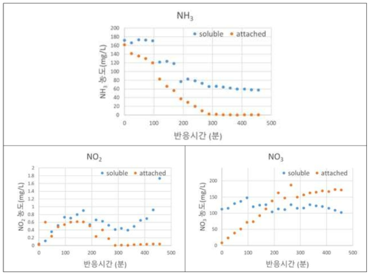 왕겨펠렛부착 미생물과 순환수내 미생물에 의한 질소계열 이온 변화