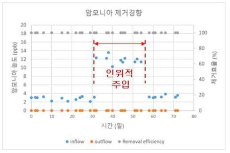 Pilot plant 악취제거 장치에 의한 암모니아 가스 제거 경향