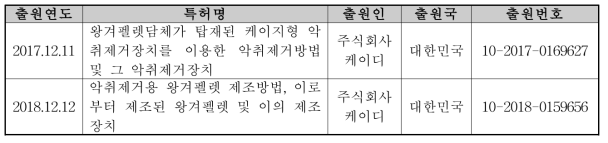 특허 출원 내역