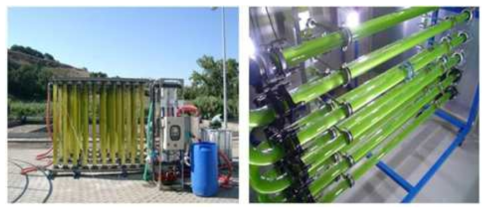 광생물반응기(Photobioreactor system)의 운영 예시