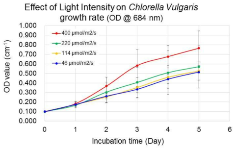 광량에 의한 Chlorella Vulgaris 성장률