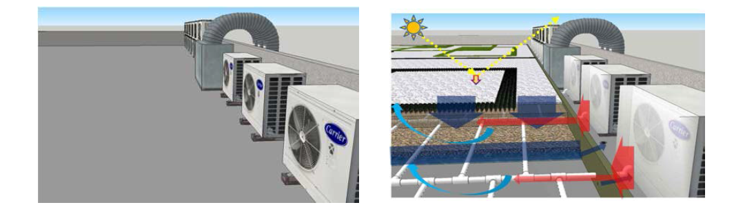 옥상부 온도저감형 옥상녹화 시스템 설치 전 후 예상도