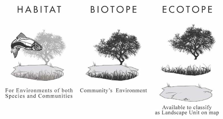 서식처, 비오톱, 에코톱의 구분