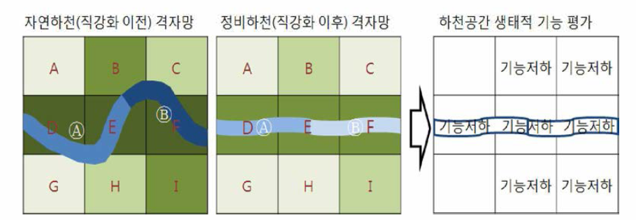 생태기능 평가 모식도