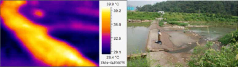 대청천 시범사업지 구간의 열화상 분석