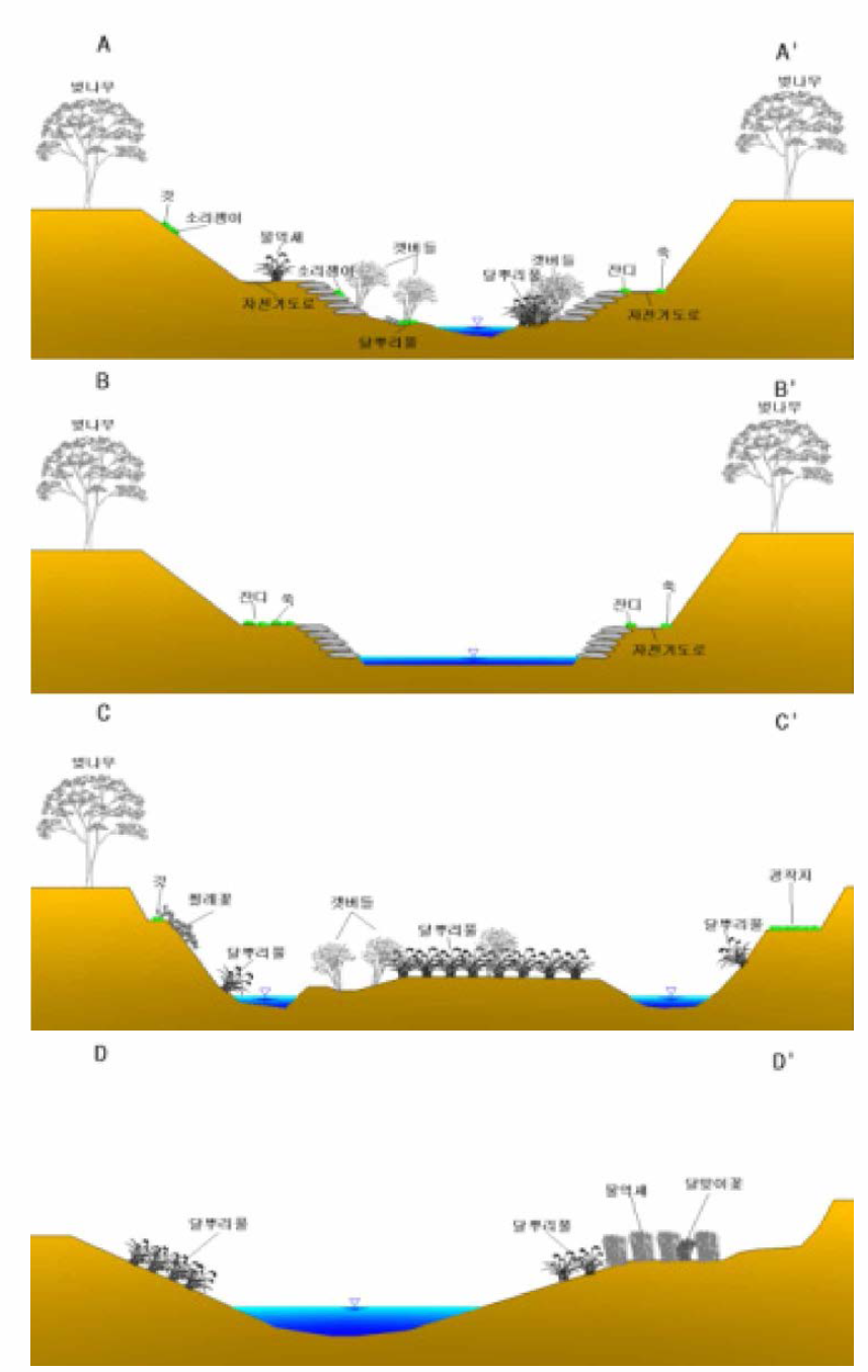 조사구간별 횡단 식생단면도