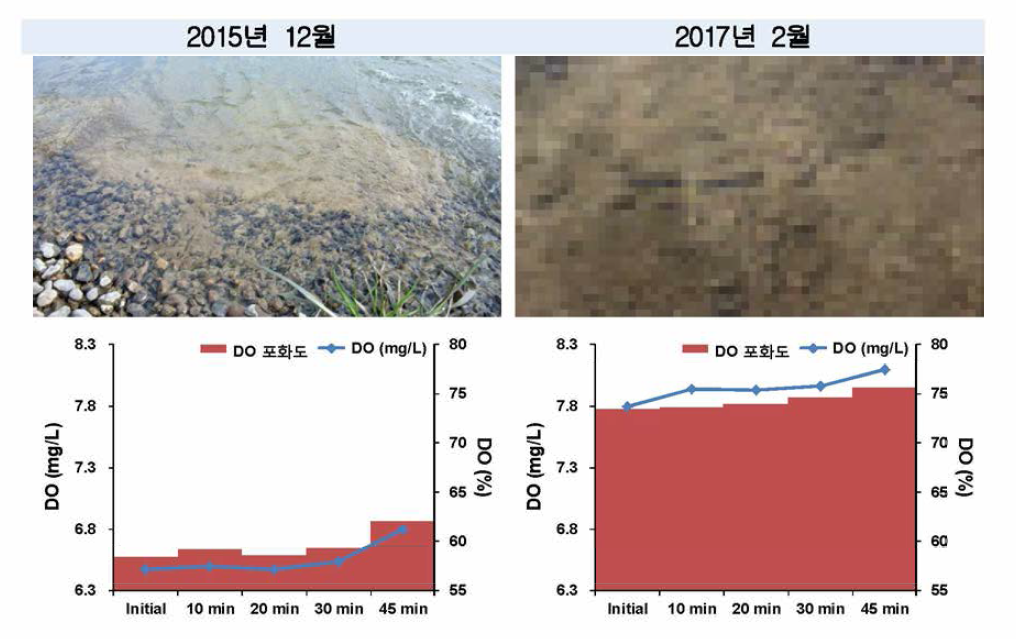 2015년과 2017년 DC-2 정점의 DO 지속 조사 비교