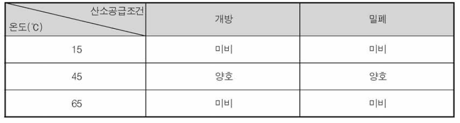 온도 및 산소조건에 따른 배양상태