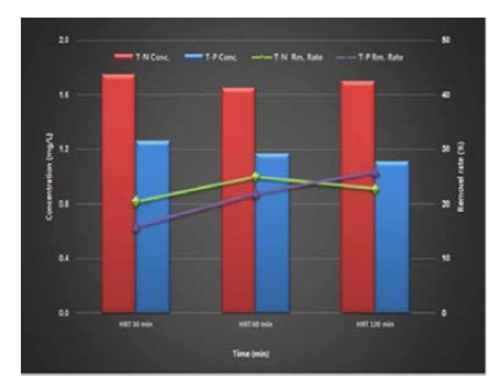 체류시간 별 T-N, T-P 농도 및 제거효율