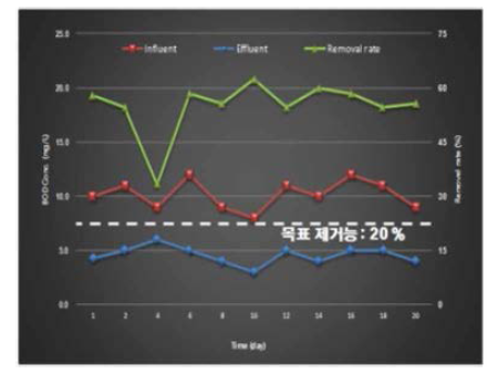 BOD 농도 및 제거효율