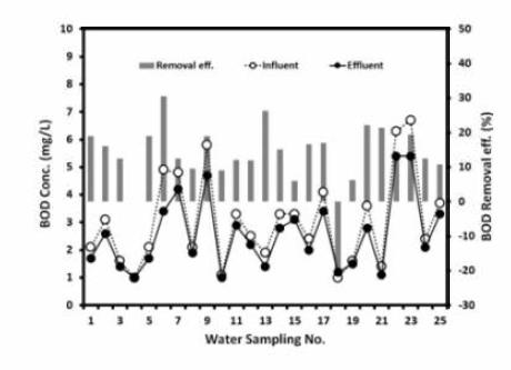 저농도 BOD의 제거효울