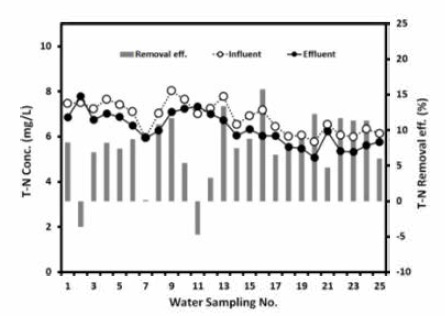 저농도 T-N의 제거효율