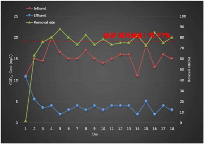 습지여상 Lab-scale COD 유입제거 특성