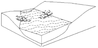 V형 여울(한국수자원학회, 2009)