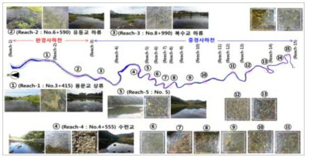공동시험 하천(유등천)의 하천 세구간별 조사자료 도면화