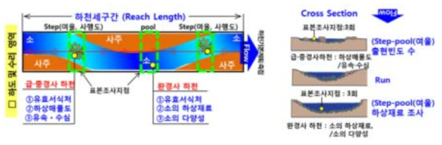 중ㆍ완경사 하천의 표본 조사구 및 조사 지점 모식도