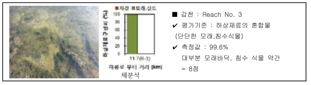 소의 하상재료 평가방법(완경사 하천)(예시)