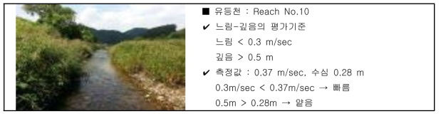 유속ㆍ수심 평가방법(급경사ㆍ중경사 하천)(예시)