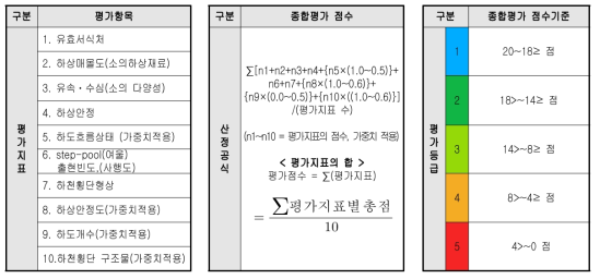 물리분야 평가항목, 종합평가 점수 및 기준