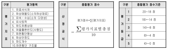 물리분야 평가항목, 종합평가 점수 및 기준(3차년도)