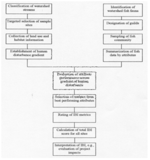 Index of Biotic Integrity(IBI) 개발의 전체 흐름도