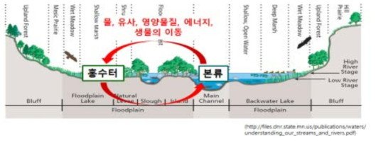 하천의 하도와 홍수터를 연계하는 횡적 연결성 (USDA, 1998)