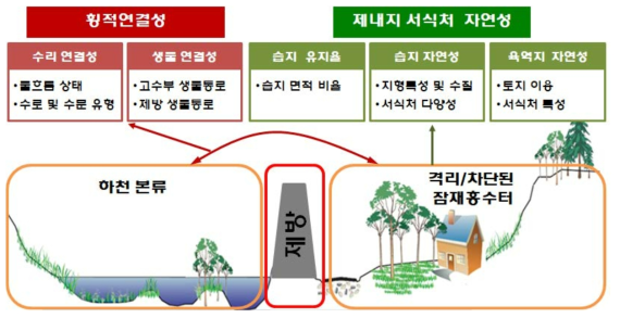 격리/차단된 하천환경 평가시스템의 이론적 개념 틀