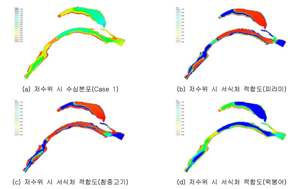 구하도 내 저수위 시 수심분포에 따른 서식처 적합도 분석 결과(Case 1)