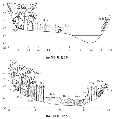 제외지 홍수터(a) 및 제내지 구하도(b)의 식생 분포 단면도