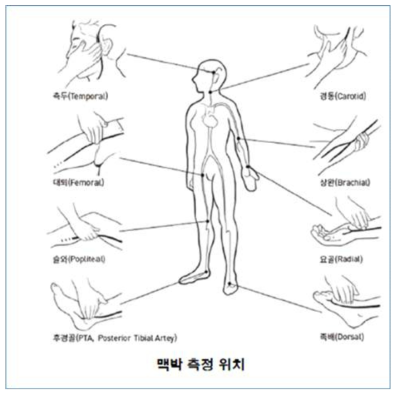 맥박 측정 가능 위치