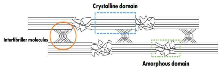 The crystalline and amorphous regions of the cellulose fibers (adapted from; Kim et al. 2016)