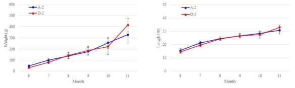 Change of the growth rate in flounder farm (Left: body length/ Right: weight)