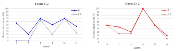 Changes in bacterial infection rate in flounder farm (B: total bacteria, P.B: pathogenic bacteria)