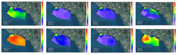 Contour plots of environmental parameters in the coast of Daejung during July 2016
