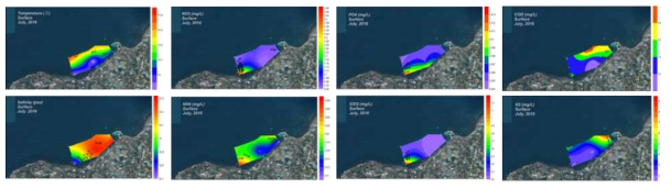 Contour plots of environmental parameters in the coast of Gueom during June 2016