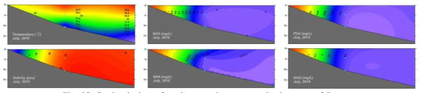 Sectional plots of environmental parameters in the coast of Pyosun