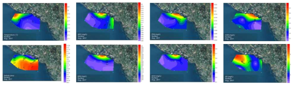 Contour plots of environmental parameters in the coast of Daejung during August 2017