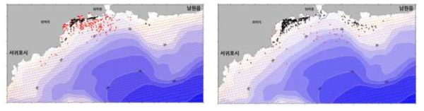 Distributions of suspended (red) and deposited particles (black) simulated by the model near Wimi-ri, Seogwipo after one (left) and two day (right)