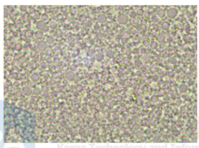 CＨＯＩＣＥＳＯ－３０＿Ｗ의 입자 분포*현미경 사진 (×1,000, Olympus CX41, 25℃)